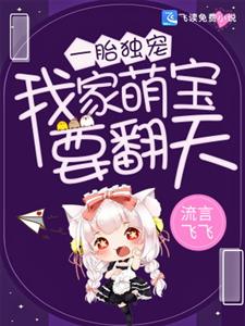 一胎独宠：我家萌宝要翻天